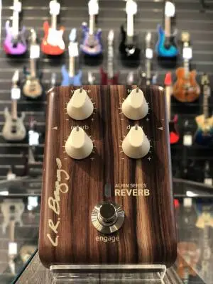 L.R Baggs - LR-ALIGN-REVERB